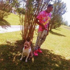 Meet your Posher, Tyran